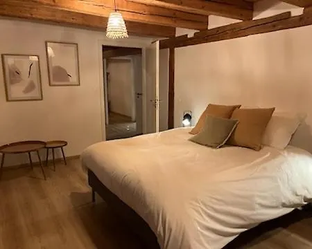 Belle Maison Alsacienne אנצהיים